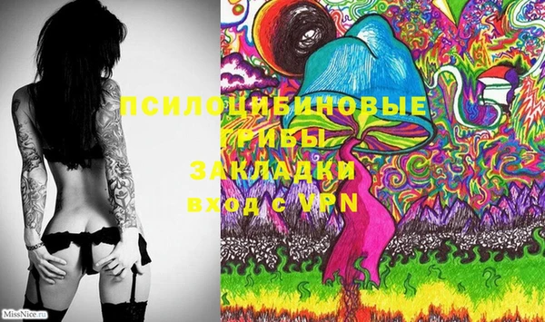 спиды Аркадак