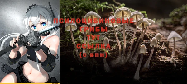 спиды Аркадак